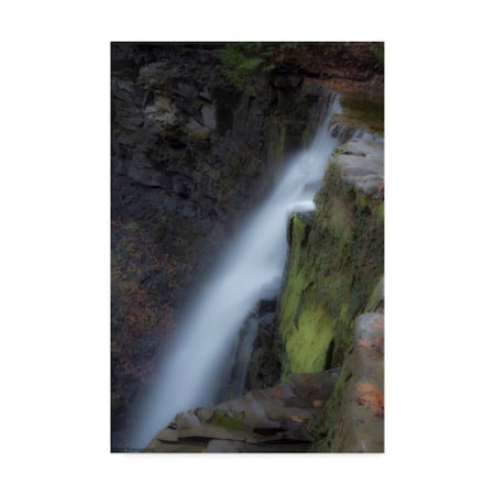 Ian Tornquist 'Plotters Kill Preserve Falls' Canvas Art,30x47